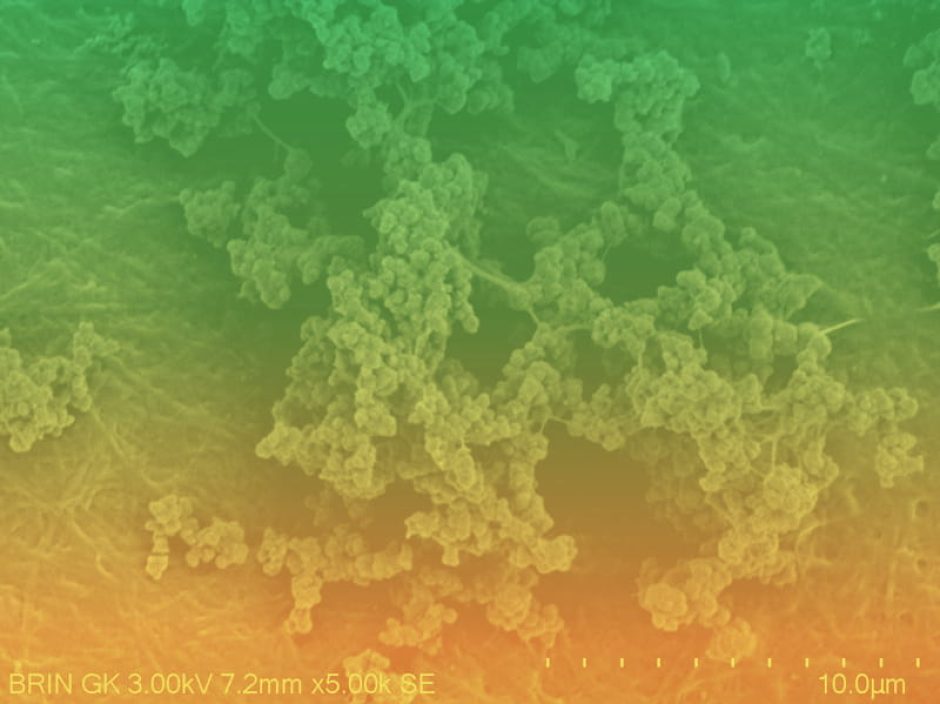 57BC33F6-3335-4C6B-9A5F-B6E9BA3F9A65