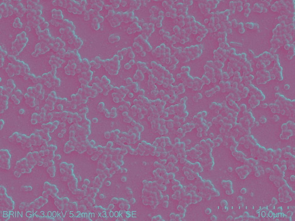 C417D635-A064-4803-955B-DF0F672A4D27