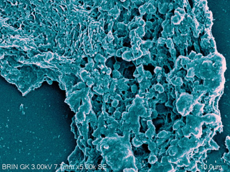 E29BAD10-BC61-49A4-ACE5-5D7E810CBE1A