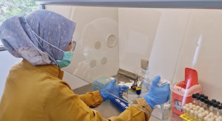 WhatsApp Image 2025-05-30 at 19.08.56